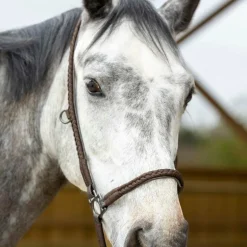 Pro Confort - Licol de grooming Dialou marron