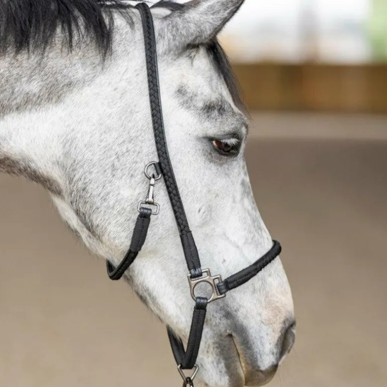 Pro Confort - Licol de grooming Dialou noir