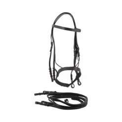 Riding World - Bride de dressage noire avec rênes