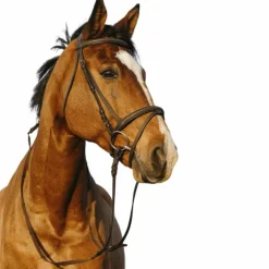 Riding World - Bridon muserolle combinée double havane avec rênes