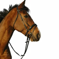 Riding World - Bridon muserolle combinée double noir avec rênes