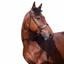 Riding World - Bridon muserolle française noir avec rênes