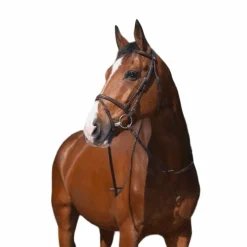 Riding World - Bridon Muserolle Combinée havane avec rênes
