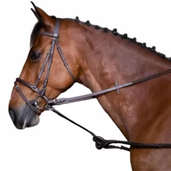 Riding World - Enrênement caoutchouc havane