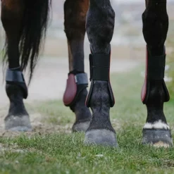 Riding World - Guêtres protège-tendons bordeaux x2