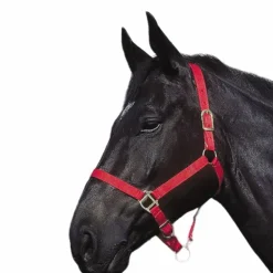 Riding World - Licol en nylon rouge