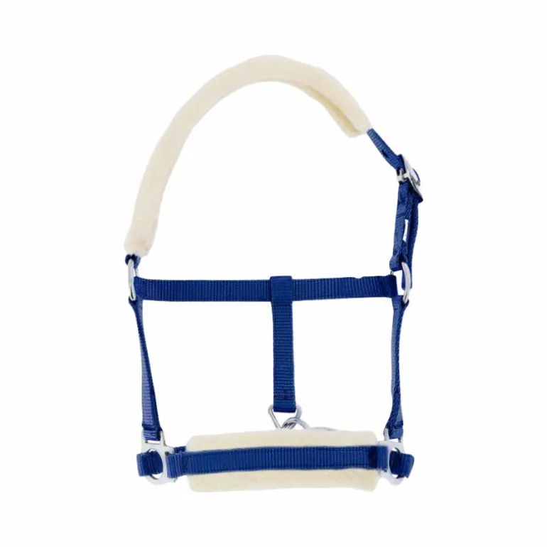 Riding World - Licol foal synthétique Mouton bleu roi