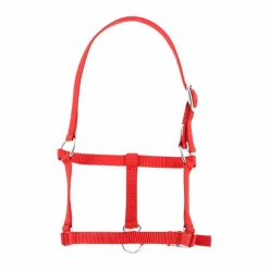 Riding World - Licol foal rouge