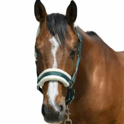 Riding World - Licol mouton synthétique vert foncé