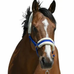 Riding World - Licol mouton synthétique bleu roi