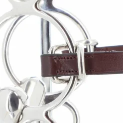 Riding World - Rênes sangle conway havane