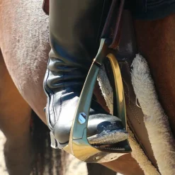 Samshield - Étriers Shield'rup champagne brossé