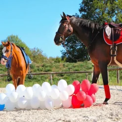 Stübben - Collier de chasse ébène argent