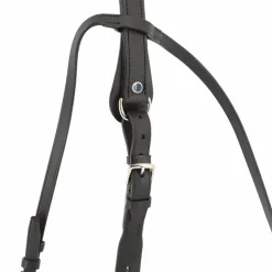 Stübben - Martingale à anneaux noire