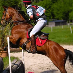 Tacante - Tapis de selle Excel-Anse mixte rouge
