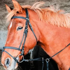 TdeT - Bridon Biotack® noir