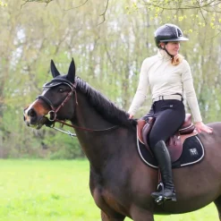 TdeT - Bridon et rênes Lautrec tabac/noir
