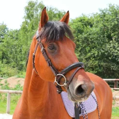 TdeT - Bridon et rênes Lautrec havane foncé/noir