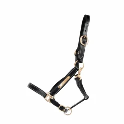 TdeT - Licol cuir avec plaque à graver noir