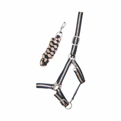 TdeT - Licol doublé avec longe Américaine marine/ beige