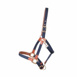 TdeT - Licol en cuir et sangle marine