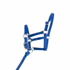 TdeT - Licol foal synthétique bleu roi