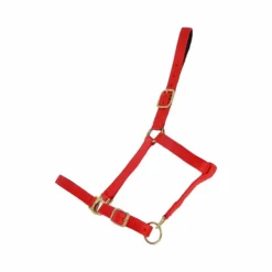 TdeT - Licol synthétique doublé suédine rouge