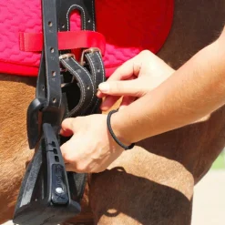 TdeT -  Selle bardette noir