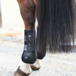 Veredus - Guêtres fermées postérieurs Absolute noir x2