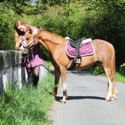 Veredus - Guêtres Ouvertes TR Pro Marron x2