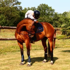 Veredus - Guêtres ouvertes Carbon Gel Vento Color Edition Noir/ Bleu x2