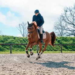 Veredus - Protège-boulets Jeunes Chevaux Vento Save the Sheep Noir